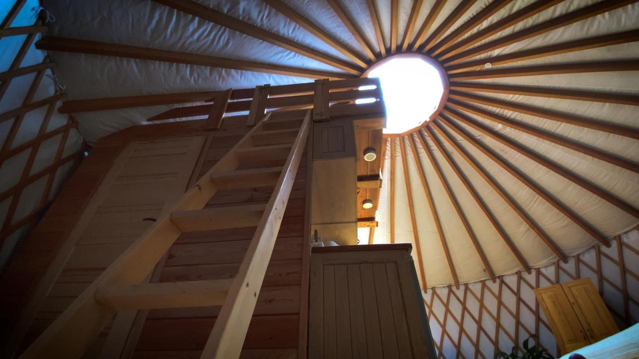 Jurty I Namioty W Lesie Kotfalas Glamping Swietokrzyskie-spa